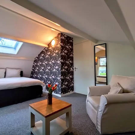 Morning Glory, Dahlia Сasa de vacaciones *