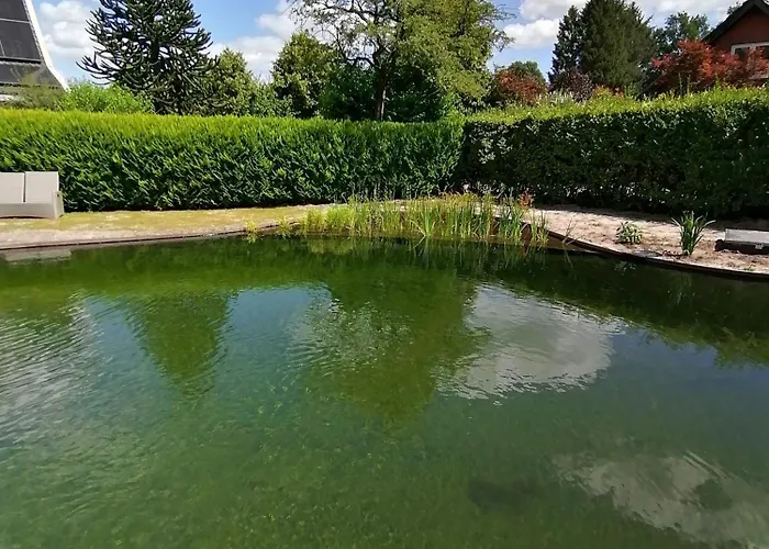 Morning Glory, Dahlia