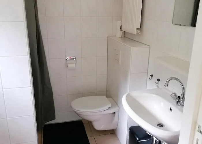 Morning Glory, Dahlia *