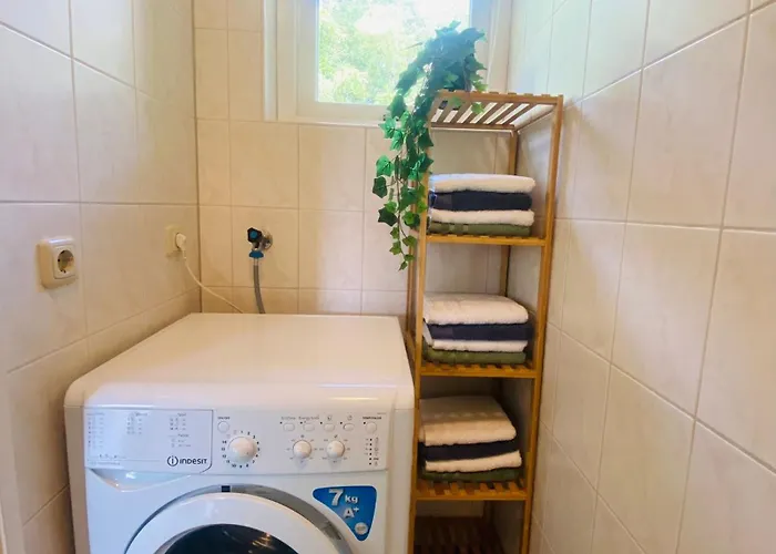 Morning Glory, Dahlia * Beekbergen