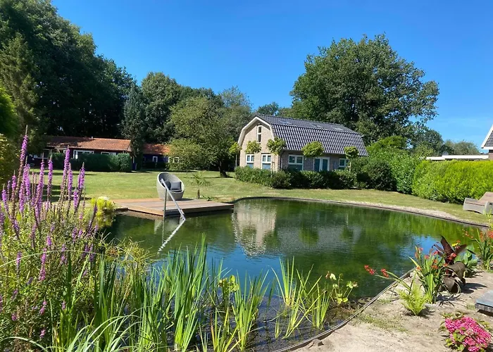 Morning Glory, Dahlia