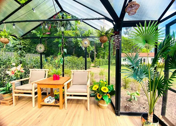 Morning Glory, Dahlia בית נופש