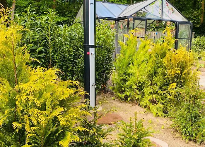 Morning Glory, Dahlia * Beekbergen