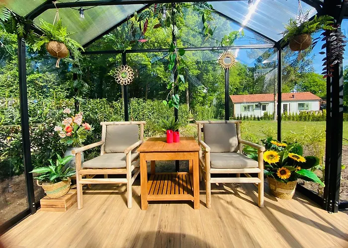 Morning Glory, Dahlia ביקברחן