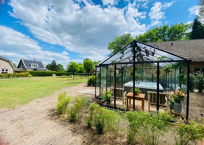 Morning Glory, Dahlia