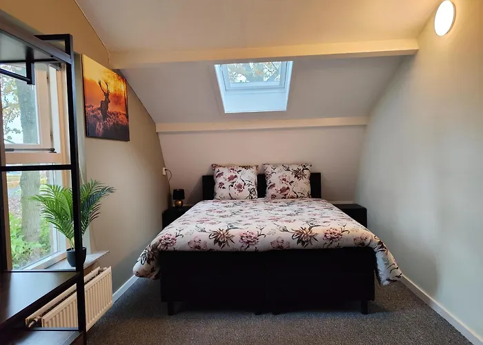 Morning Glory, Dahlia Holiday home