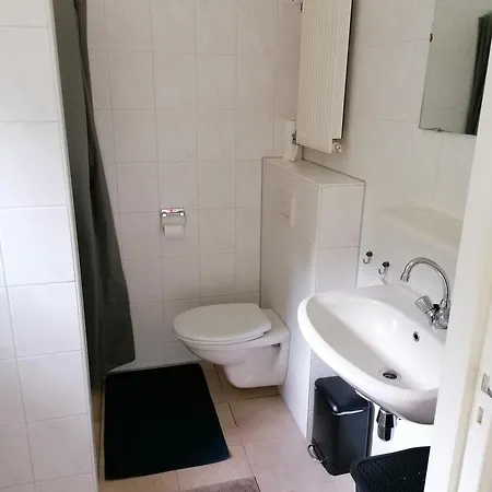 Morning Glory, Dahlia *