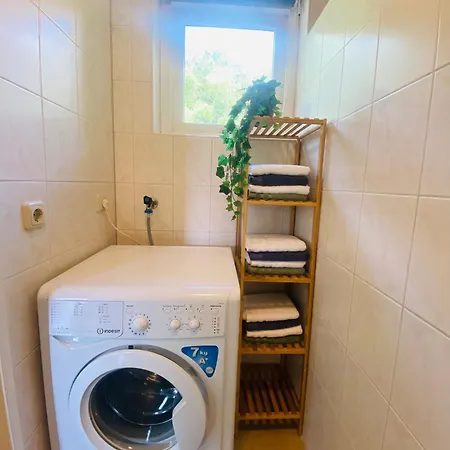 Morning Glory, Dahlia * Beekbergen