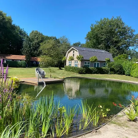 Morning Glory, Dahlia