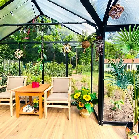 Morning Glory, Dahlia Σπίτι διακοπών