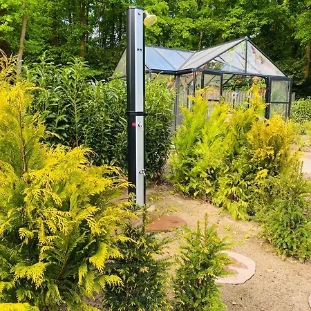 Morning Glory, Dahlia * Beekbergen