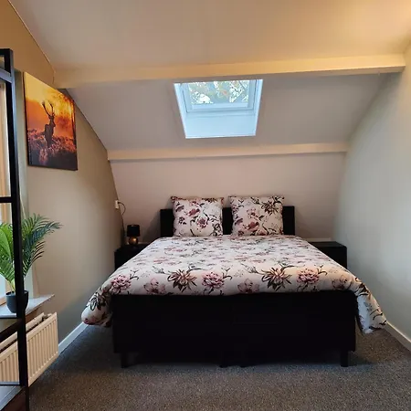 Morning Glory, Dahlia Σπίτι διακοπών